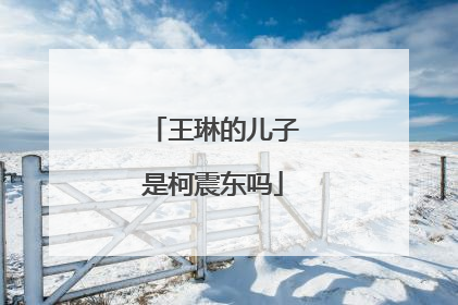 王琳的儿子是柯震东吗