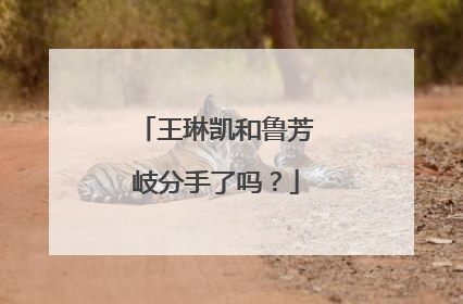 王琳凯和鲁芳岐分手了吗?