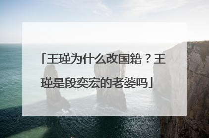 王瑾为什么改国籍？王瑾是段奕宏的老婆吗
