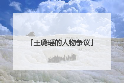 王璐瑶的人物争议