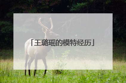 王璐瑶的模特经历