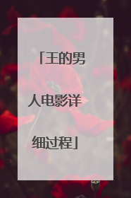 王的男人电影详细过程