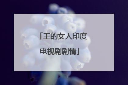 王的女人印度电视剧剧情