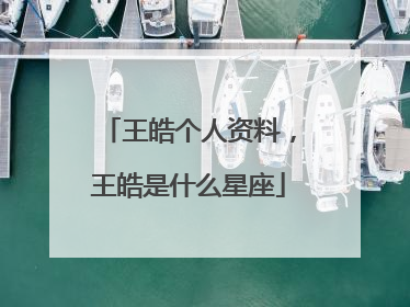 王皓个人资料,王皓是什么星座
