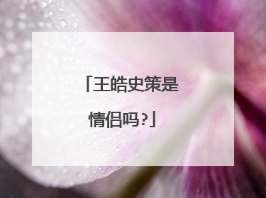 王皓史策是情侣吗?