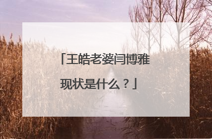 王皓老婆闫博雅现状是什么?