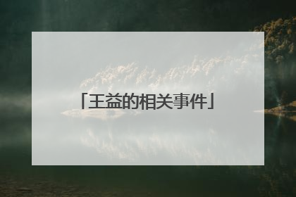 王益的相关事件