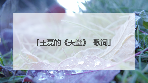 王磊的《天堂》 歌词