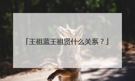 王祖蓝王祖贤什么关系？