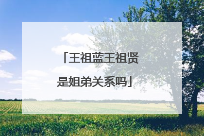 王祖蓝王祖贤是姐弟关系吗