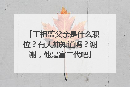 王祖蓝父亲是什么职位？有大神知道吗？谢谢，他是富二代吧