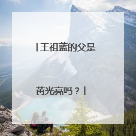 王祖蓝的父是黄光亮吗？