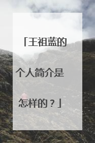 王祖蓝的个人简介是怎样的？