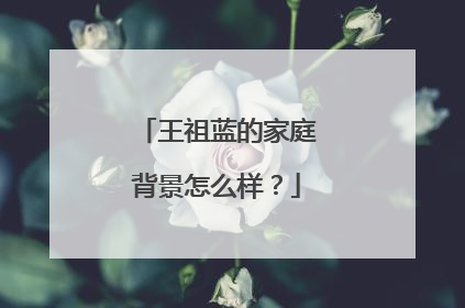 王祖蓝的家庭背景怎么样？