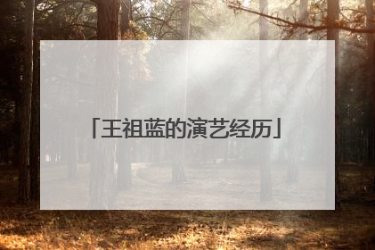 王祖蓝的演艺经历