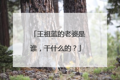 王祖蓝的老婆是谁，干什么的？