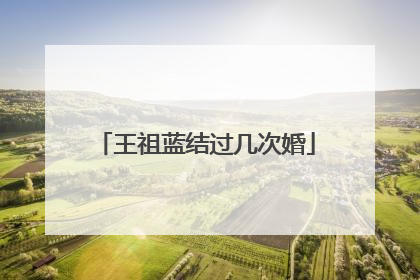 王祖蓝结过几次婚