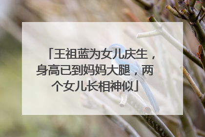 王祖蓝为女儿庆生，身高已到妈妈大腿，两个女儿长相神似