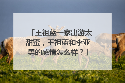 王祖蓝一家出游太甜蜜,王祖蓝和李亚男的感情怎么样?