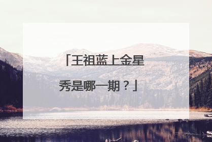 王祖蓝上金星秀是哪一期?