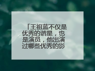 王祖蓝不仅是优秀的谐星，也是演员，他出演过哪些优秀的影视作品呢？