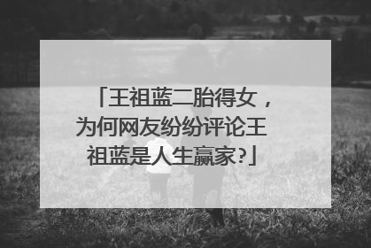 王祖蓝二胎得女,为何网友纷纷评论王祖蓝是人生赢家?