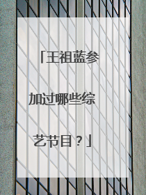 王祖蓝参加过哪些综艺节目？