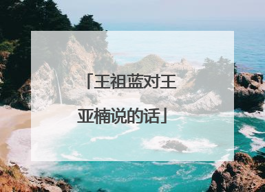 王祖蓝对王亚楠说的话