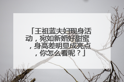 王祖蓝夫妇现身活动，宛如新婚好甜蜜，身高差明显成亮点，你怎么看呢？