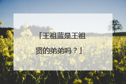 王祖蓝是王祖贤的弟弟吗?