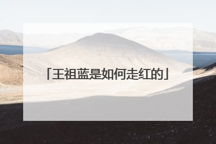 王祖蓝是如何走红的