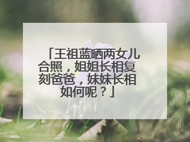 王祖蓝晒两女儿合照,姐姐长相复刻爸爸,妹妹长相如何呢?