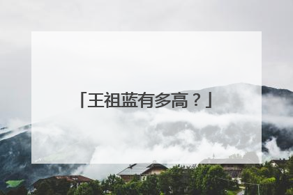 王祖蓝有多高?