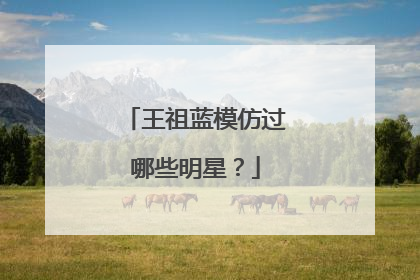 王祖蓝模仿过哪些明星?