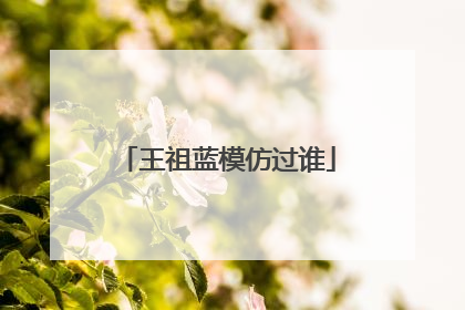 王祖蓝模仿过谁