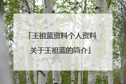王祖蓝资料个人资料 关于王祖蓝的简介