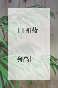 王祖蓝身高