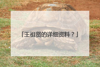 王祖贤的详细资料？