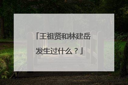 王祖贤和林建岳发生过什么？