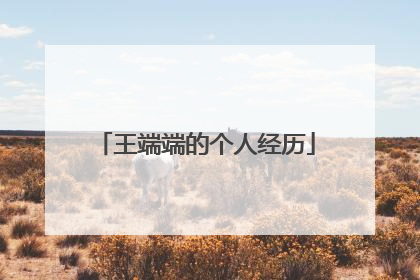 王端端的个人经历