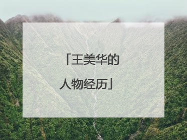 王美华的人物经历