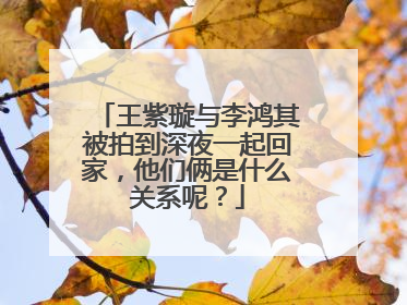 王紫璇与李鸿其被拍到深夜一起回家,他们俩是什么关系呢?