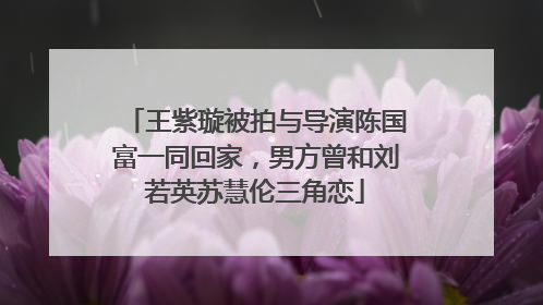 王紫璇被拍与导演陈国富一同回家，男方曾和刘若英苏慧伦三角恋