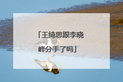 王绮思跟李晓峰分手了吗