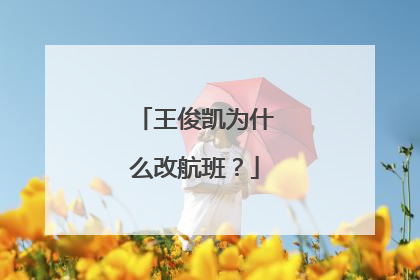 王俊凯为什么改航班?