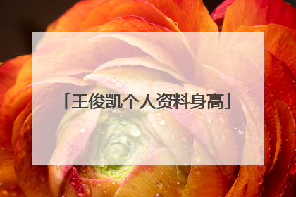 王俊凯个人资料身高