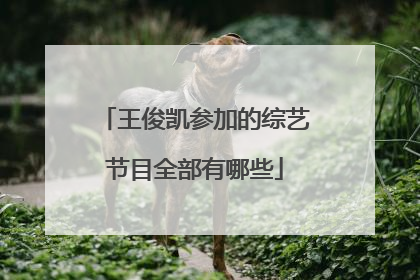 王俊凯参加的综艺节目全部有哪些
