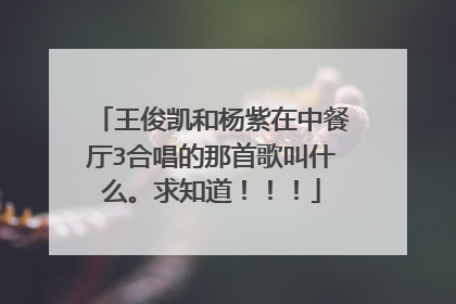 王俊凯和杨紫在中餐厅3合唱的那首歌叫什么。求知道!!!