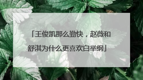 王俊凯那么勤快,赵薇和舒淇为什么更喜欢白举纲