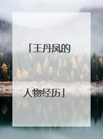 王丹凤的人物经历